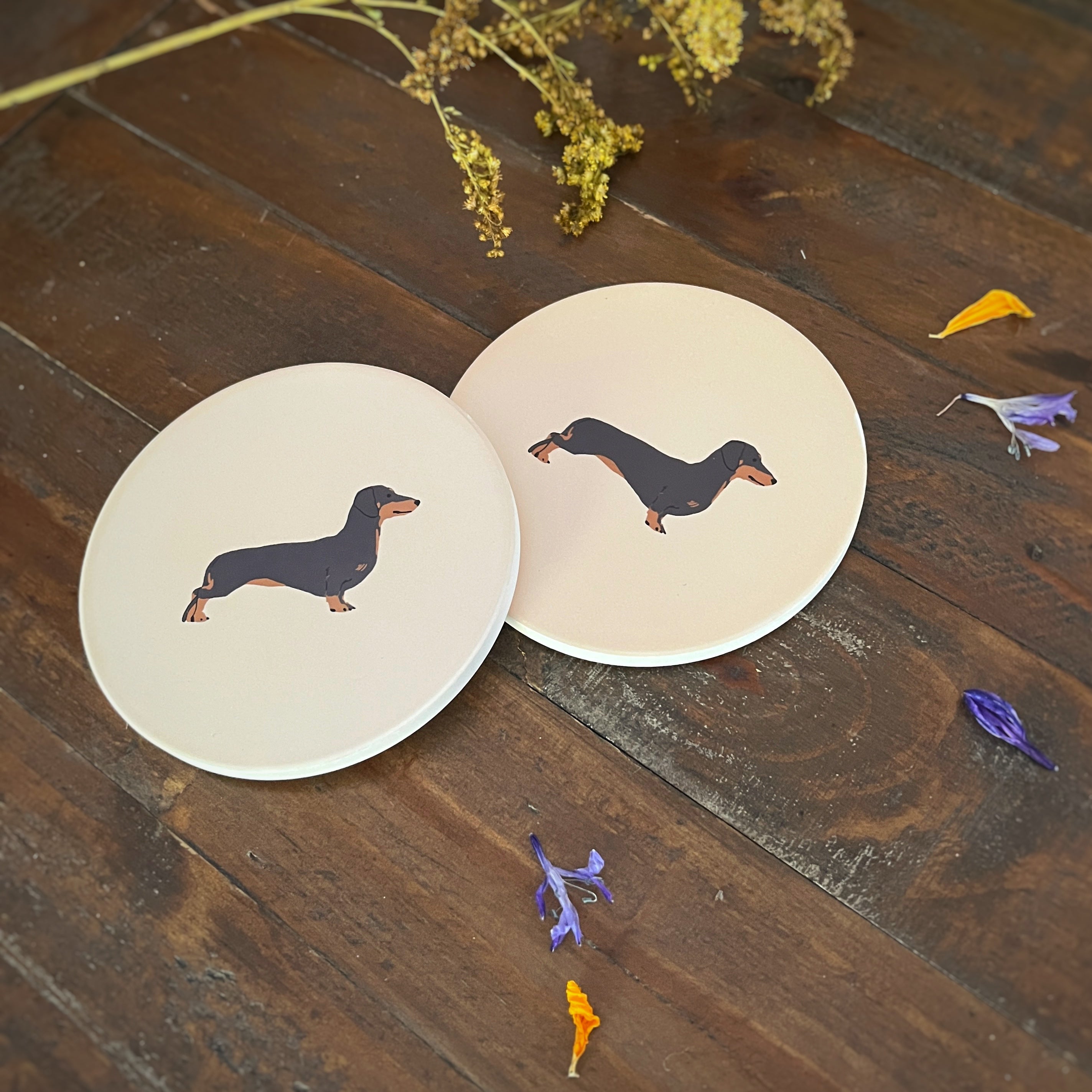 Two round cream coasters featuring a printed illustration of a Black and Tan dachshund dog, arranged on a dark wooden tabletop with dried flowers and petals as decorative props.
