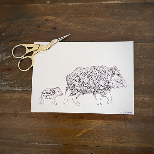 Whimsy black and white postcard of a British boar and baby illustration on a wooden table 