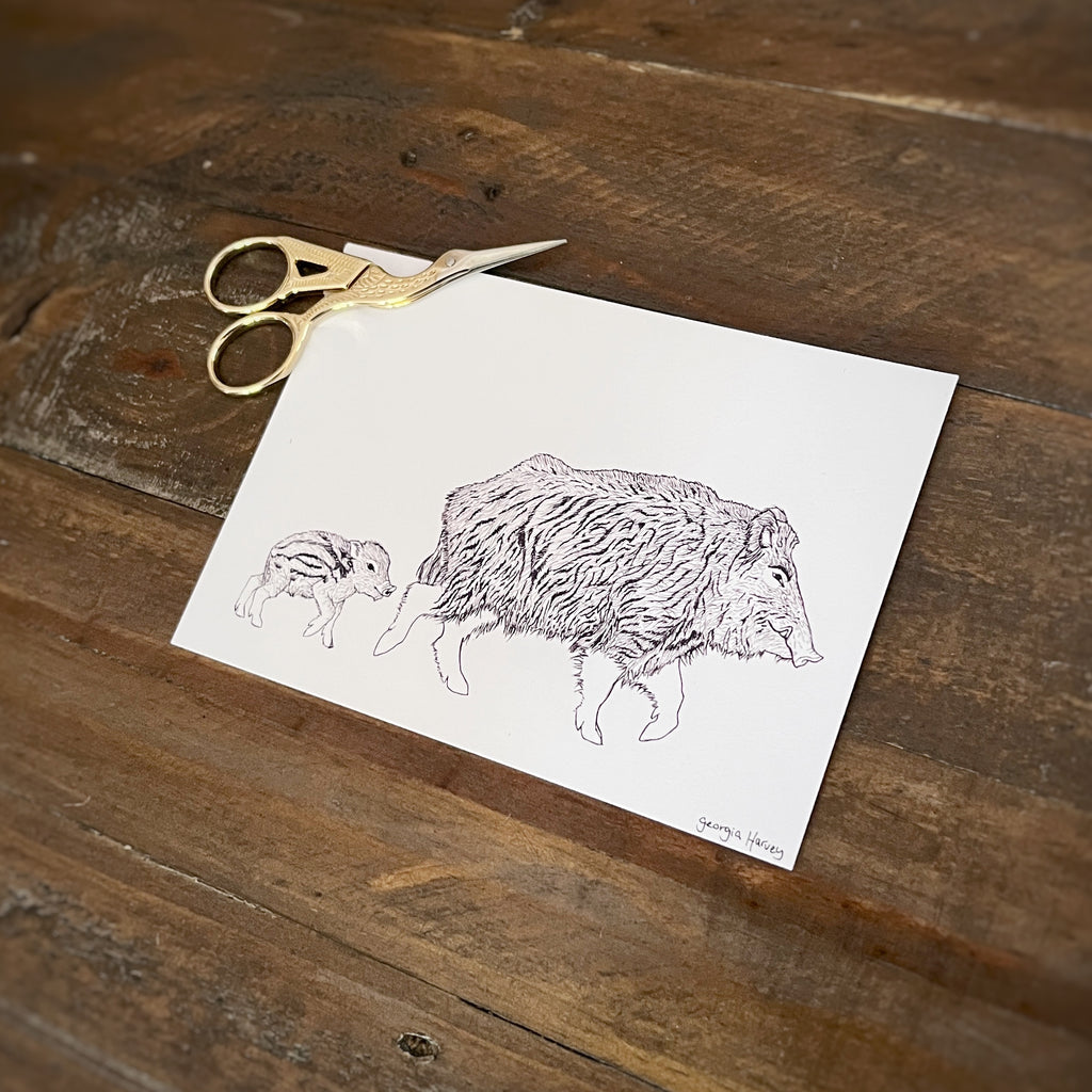 Whimsy black and white postcard of a British boar and baby illustration on a wooden table 