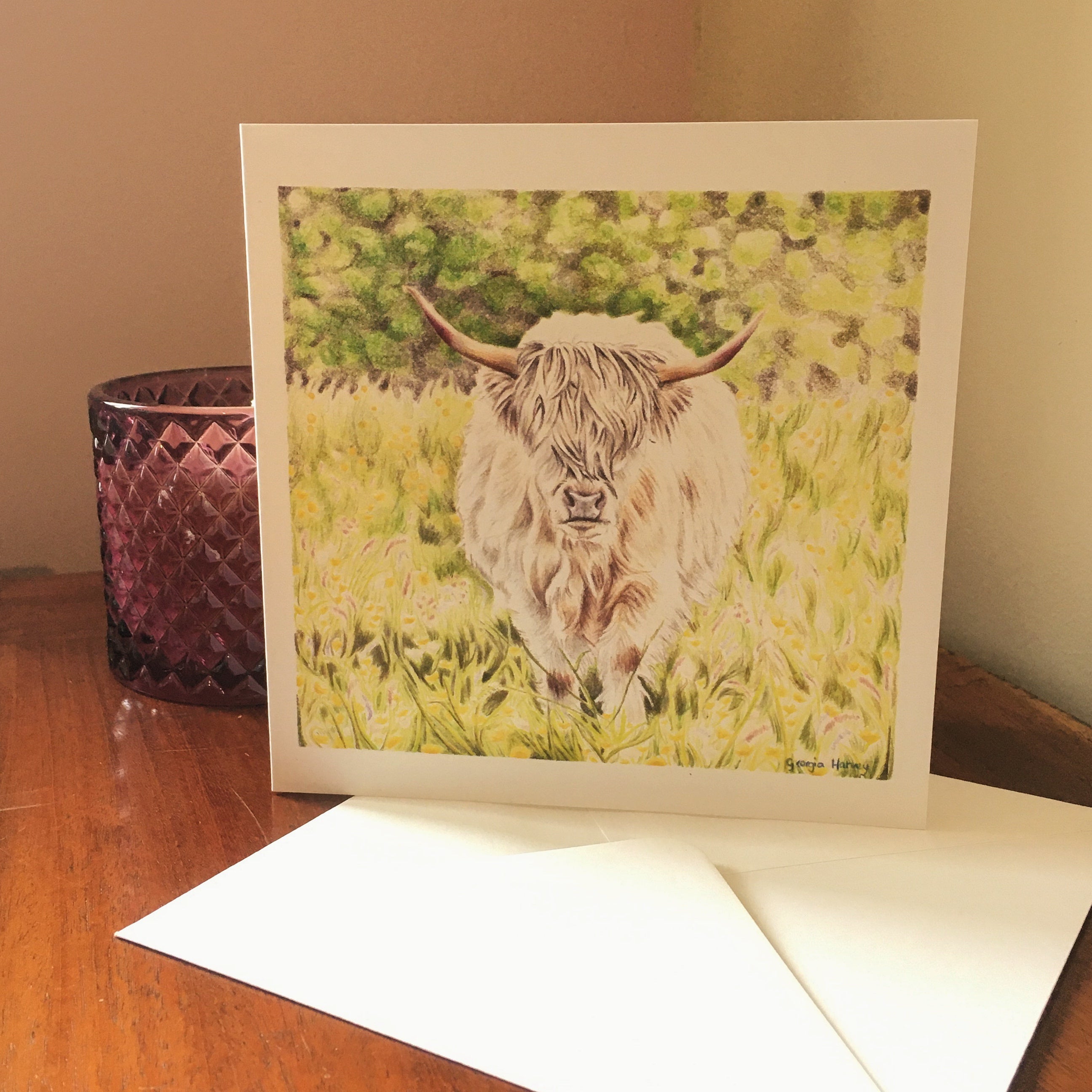 square greeting card of a hand drawn cream coloured highland cow walking in wildflowers