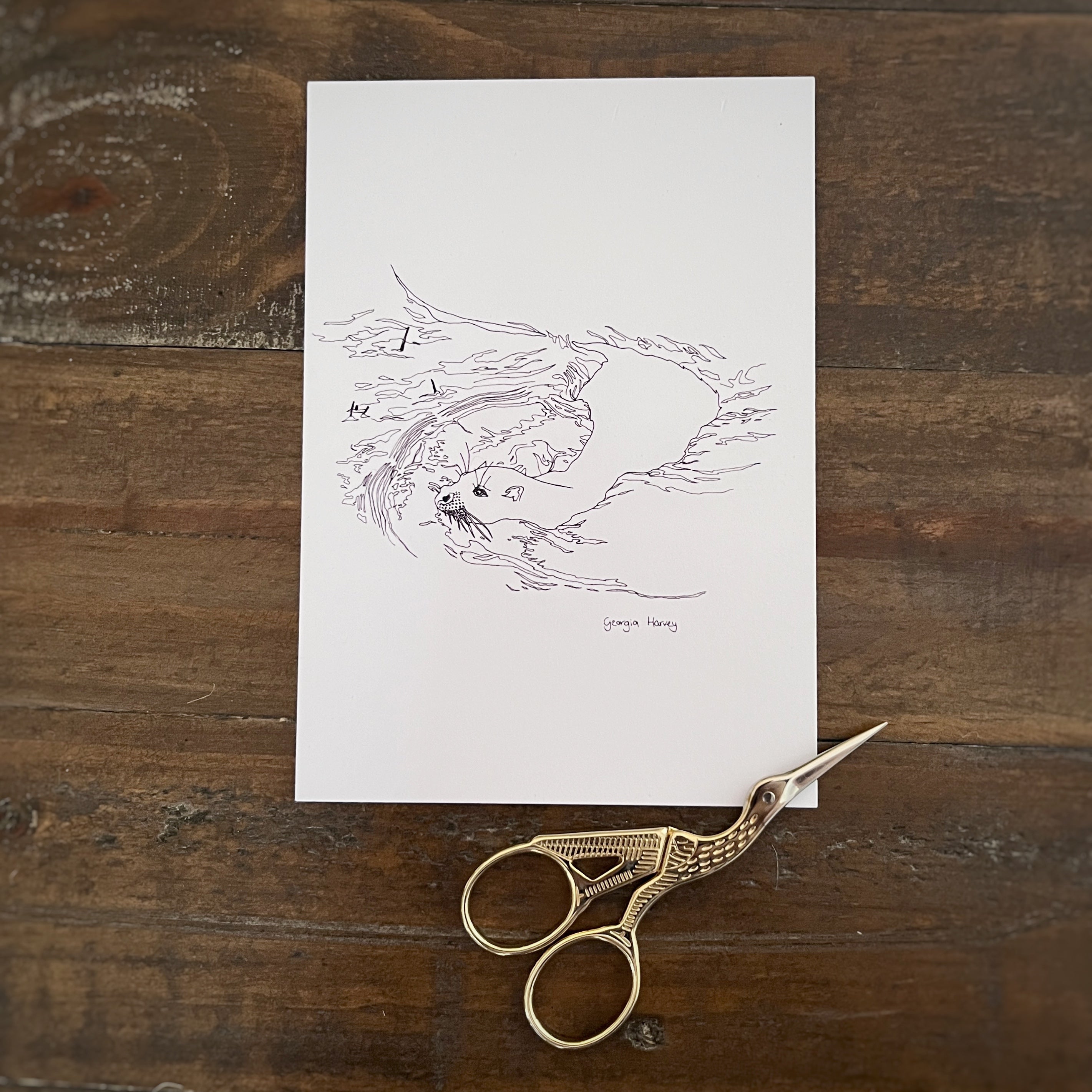 Black and white hand drawn British otter postcard for colouring in with small scissors next to it on wooden table 
