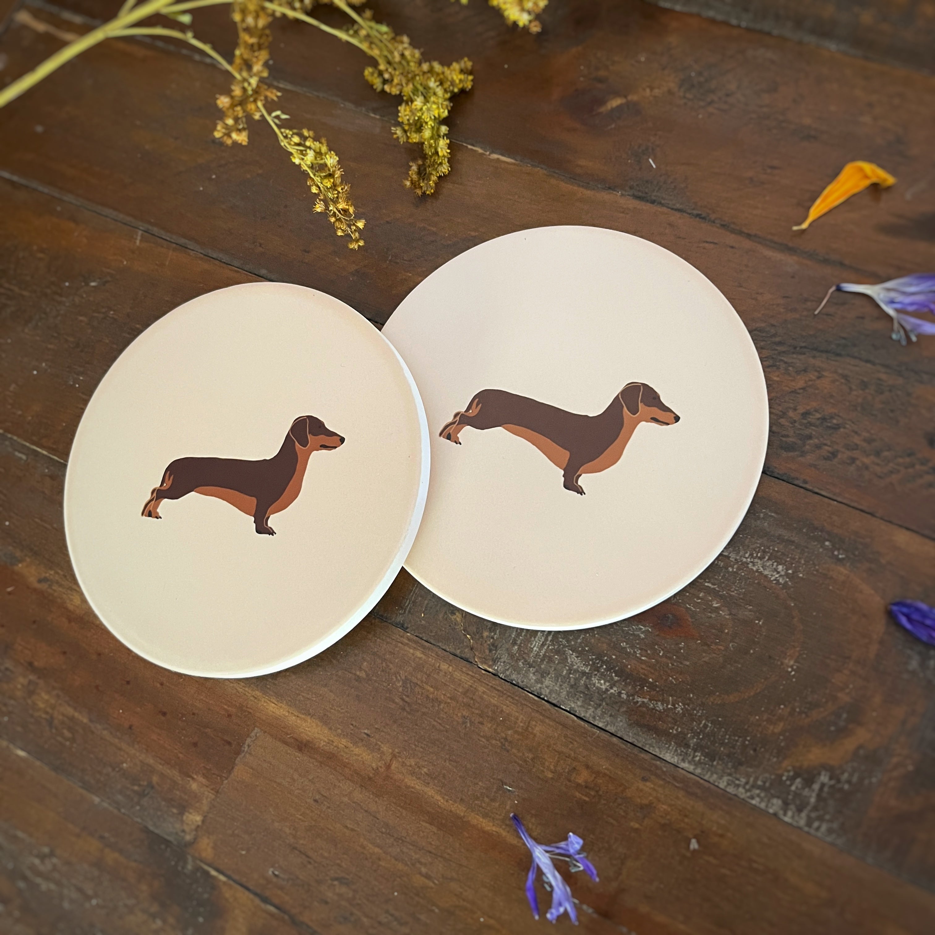 Two round coasters with a cream background, each printed with a brown dachshund illustration, displayed on a rustic dark wood surface with dried flowers.