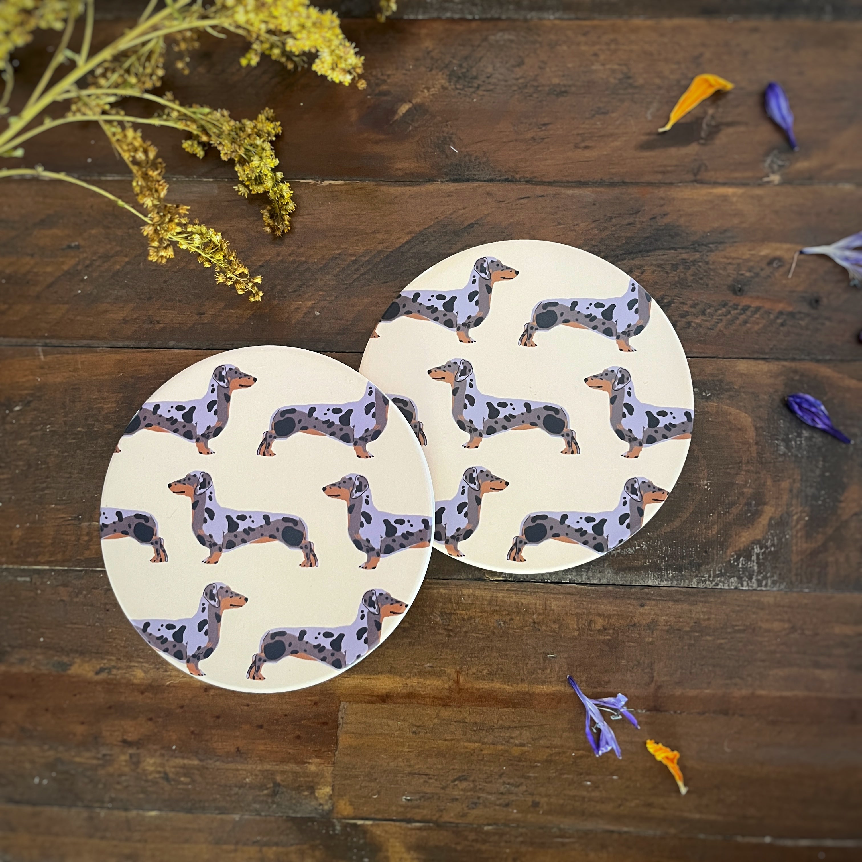 Two round ceramic coasters with a dapple dachshund illustration pattern, displayed on a dark wooden tabletop with dried yellow flowers and small purple petals.
